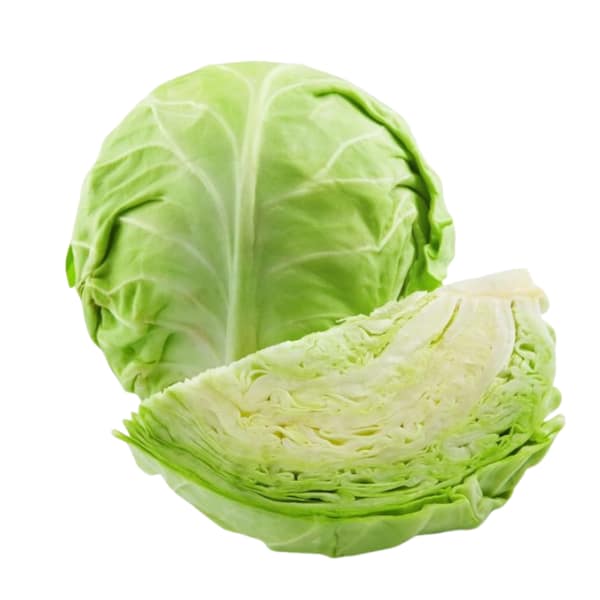 Fresh Cabbage / Band Gobi